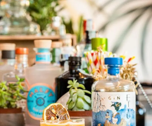 罗索布鲁酒店 3* 切塞纳蒂科